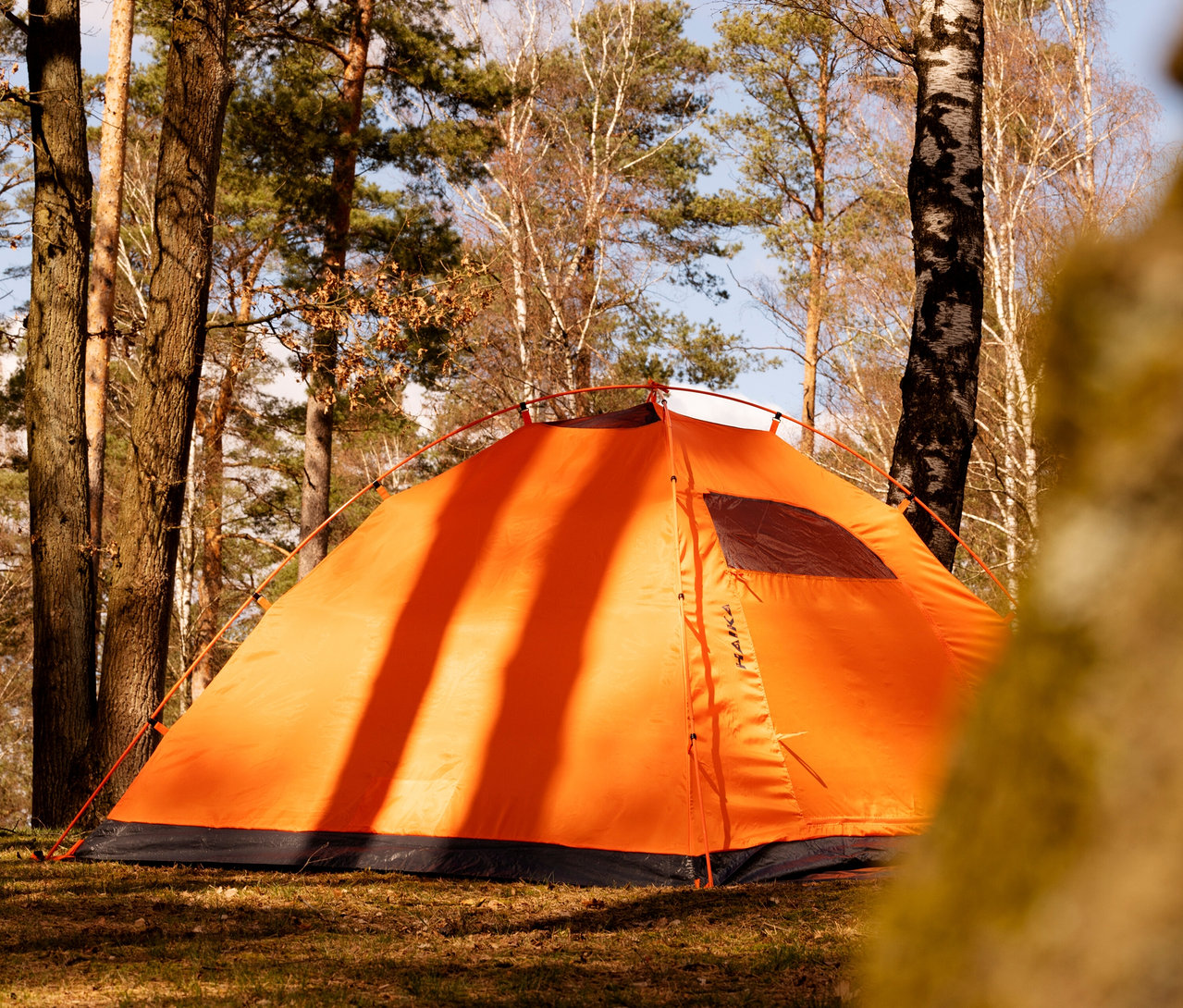 Orangefarbenes Tambu »HAIKA 3« 3 Personen Kuppelzelt steht im Wald.