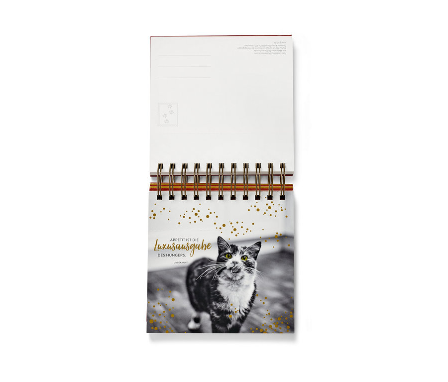 Ansicht eines Tischkalenders mit einem Schwarzweißfoto einer Katze und goldenem Text. Aufsteller »Weisheiten für Katzenfreunde«.