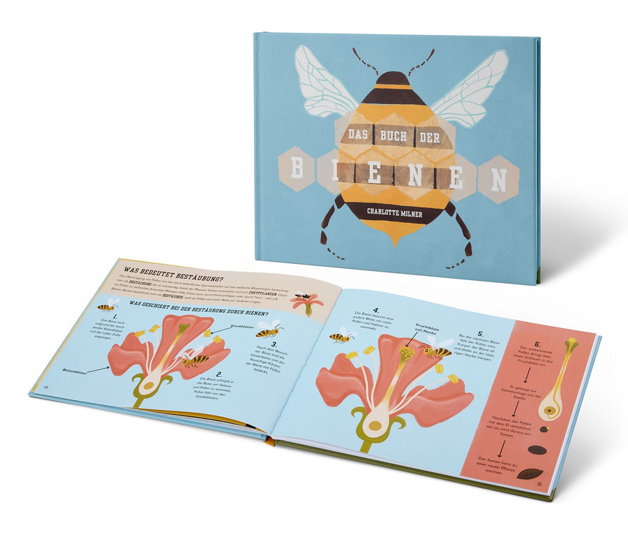 Ein geöffnetes Buch, Das Buch der Bienen, zeigt Illustrationen zur Bestäubung.