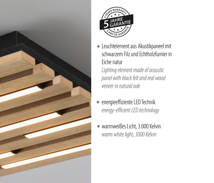 Detail einer Deckenleuchte mit Akustikpaneel, schwarzem Filz und Echtholzfurnier in Eiche natur.