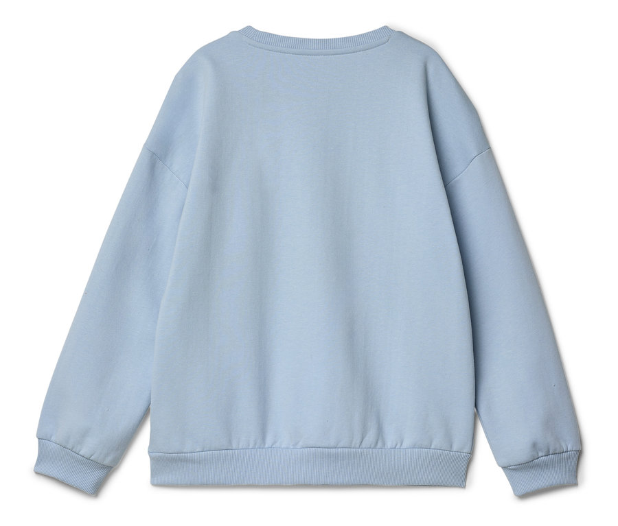 Hellblaues, schlichtes Sweatshirt, von hinten fotografiert.
